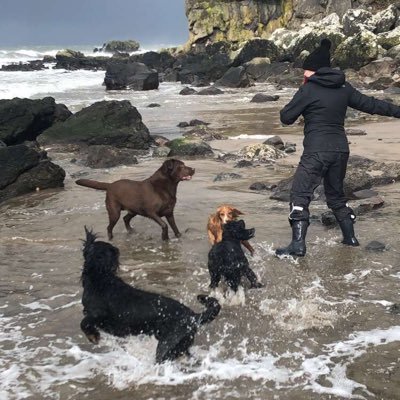 marionx72's profile picture. City - Town 👮‍♂️ Views are my own and I am me doing me 🧚‍♀️ 🐶.