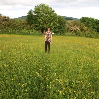 Alex Blomfield (@pearl_bordered) 's Twitter Profile