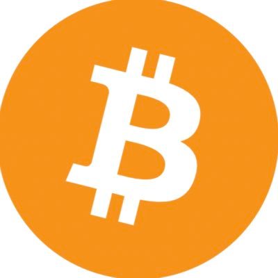 BTCMaximalistic's profile picture. #Bitcoin