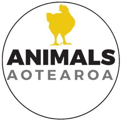 Charity Organisation.
Animals Aotearoa exists to end the suffering of farmed animals.
We expose #ChickenCrueltyNZ and demand companies do better for chickens 🐓