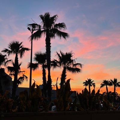 SenecalThomas's profile picture. Price is what you pay, value is what you get.