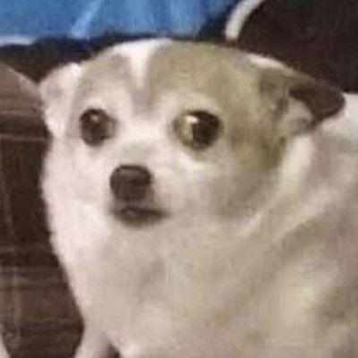 DRAGINAIMSUCKS's profile picture. YO