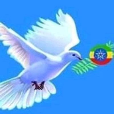 SaadAhm33254010's profile picture. 