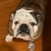 Scorpion (@scorpionsoles) Twitter profile photo Scorpion (@scorpionsoles) Twitter profile photo