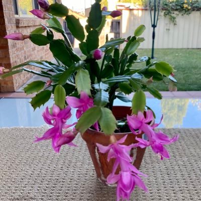 kintiq's profile picture. Fair GO and Justice together we survive with Amazing Followers and their Supports