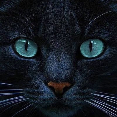 BarbaraAdenFla's profile picture. Simple lady loving the simple life.