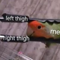 @needforseed.xyz (@aneedforseed) 's Twitter Profile