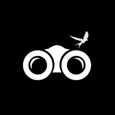 BirdwatcherNft's profile picture. Blockchain / NFT / Analytics / Security