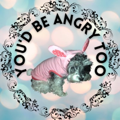 I'm a miniature schnauzer who loves to make people happy with fun designs uniquely made for you!