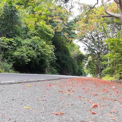 fjk2025_'s profile picture. 