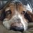 Celene_McGirr's profile image