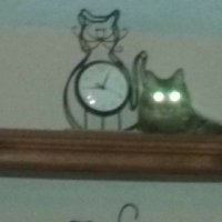 THE CLOCK IS TICKING (@neila0081) 's Twitter Profile