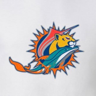 Go Dolphins!
Go Marlins!
Go Heat! 
Go Panthers!