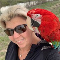 Barb D (@barbdonohue84) 's Twitter Profile