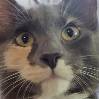 Diane K. (@dianek40697479) 's Twitter Profile Photo Diane K. (@dianek40697479) 's Twitter Profile Photo