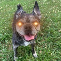 theeMpaes (@michael27510583) 's Twitter Profile