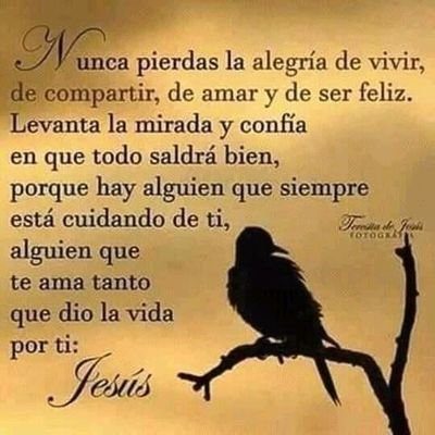 MarioVa19790643's profile picture. Magallanico, Ing. Senior Minería