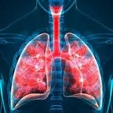 RespiracionBot's profile picture. Este bot te va a sacar la respiración automática cada 1 hora