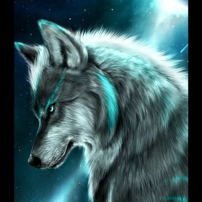 300Nightwolf Profile Picture