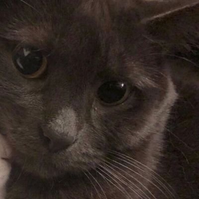 manhanizikaaa's profile picture. 23| ele/dele | aqui é só o caos pode entrar, se o segurança deixar né Kappa 🔞