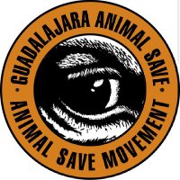 GuadalajaraAnimalSave(@GdlAnimalSave) 's Twitter Profileg