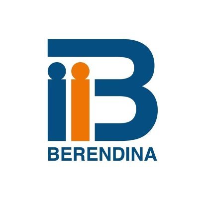 Berendina group consists of, Berendina Development Services (Gte) Ltd and Berendina Micro Investments Company LTD (BMIC).