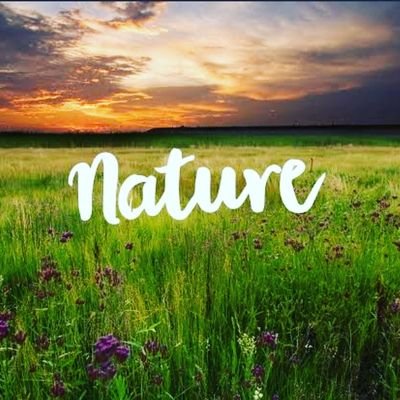 ##Nature relaxtion Music##
subscribe my channel:https://t.co/2ZVyeSkY8c
Follow me instagram:https://t.co/s7iMhQTefn