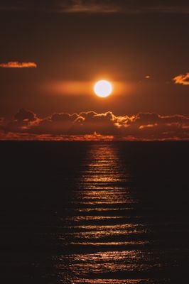 Kral42230661's profile picture. Akışına bırak.