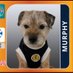 Murphy Green OBE ๐ (@no1border) Twitter profile photo Murphy Green OBE ๐ (@no1border) Twitter profile photo