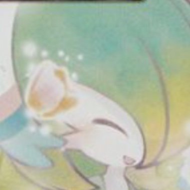 ぴの