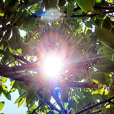 はじめまして🙏😊🐲💕
空　日輪　花　パワーストーン　神様
龍神様　天照様　不動明王尊　神社仏閣
絵を描く事が、大好きな🐲AYA🐲です☺️
皆様との御縁を大切に日々過ごしております🙏😊是非よろしくお願い致します❤️