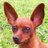 giamond's profile image