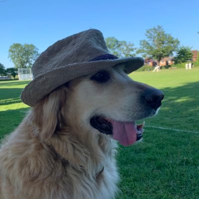 rhackney1's profile picture. Byfleet, QPR, Matthew Hackney Foundation