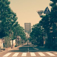 💙💛のふぞう⭐️⭐️⭐️⭐️DX*'25 🍵 ⚓ (@nobdti2) 's Twitter Profile
