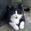 Mike Trott - @zibossi - Twitter