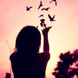 varshithareddy_'s profile picture. SATYAMEVA JAYATE 🇮🇳  💯