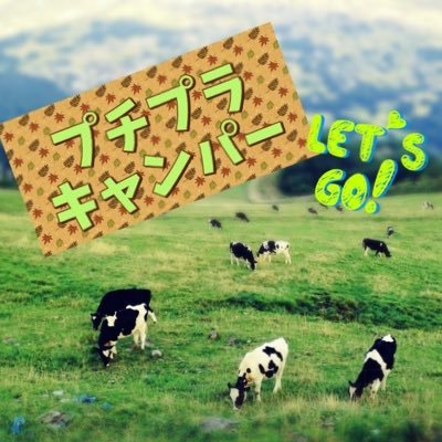 長野出身東京在住15年以上🏠最近やっと本格的にキャンプを始めようと思ってます🌳
山川海遊び、火起こし、キャンプが好きだけどまだまだ初心者⛺️
30代会社員、お金はかけ過ぎないお得で楽しいプチプラキャンプ中心の呟き⭐️
プチプラ&お得な情報欲しいです✨
多趣味な為、プチプラキャンプ以外も素敵なものを紹介するかも😊