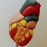Amalia García (@amlgv) 's Twitter Profile Photo Amalia García (@amlgv) 's Twitter Profile Photo