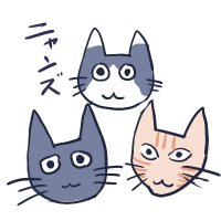 こーさん (@ko_san2014) Twitter profile photo