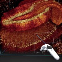 Decision and Bayesian Computation (@decbaycomp) 's Twitter Profile