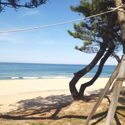 mSdSpa3z3KN9bCB's profile picture. 