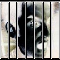 SOCRATES_botbot's profile picture. 遂にソクラテス･ボットさんがbot に！旧アカウントを転用して生まれたばかり、なのでまだ上手く返事ができません。