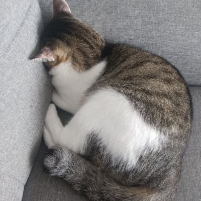 maroenda_'s profile picture. 