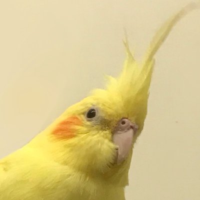 Unicumさんのプロフィール画像