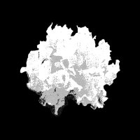 White Fungus(@whitefungusmag) 's Twitter Profile Photo