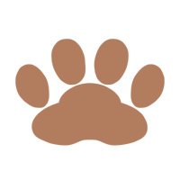 Yasue@Shopify/Wordpress Creator (@creatoryasue) 's Twitter Profile