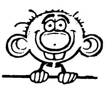 biribongolos's profile picture. I like to play the Bongo.