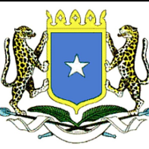 Welcome to the official Twitter page of the Transitional Federal Government of Somalia.  One day we will prevail over Al-Shabaab and return to our homeland.
