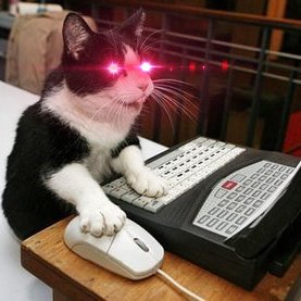 cryptocat author for social media gets cryptocat author for social media gets