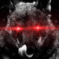 Wolff of Walletstreet⚡️ (@21walletstreet) 's Twitter Profile Photo Wolff of Walletstreet⚡️ (@21walletstreet) 's Twitter Profile Photo